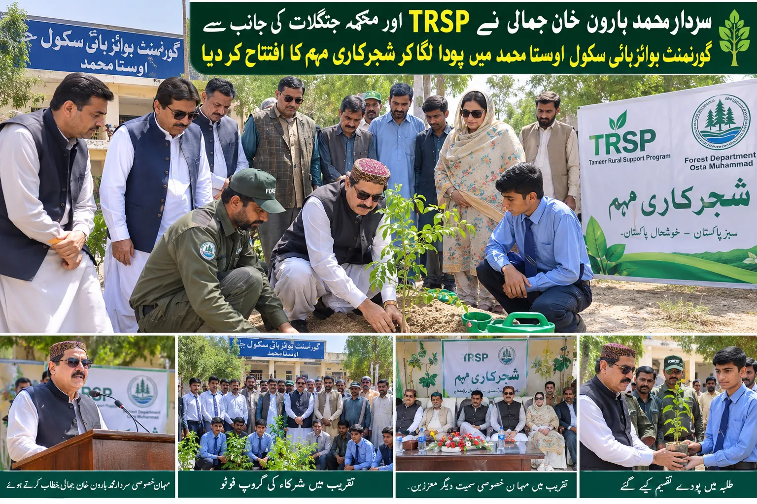 Tree Plantation Campaign Launched in Usta Muhammad; Sardar Muhammad Haroon Khan Jamali Inaugurates by Planting Sapling
